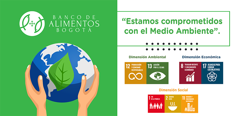 DíaMundialDelMedioAmbiente