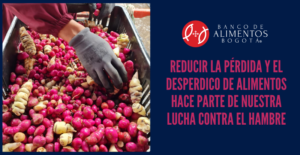 Perdida y desperdicio
