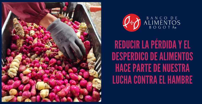 Perdida y desperdicio