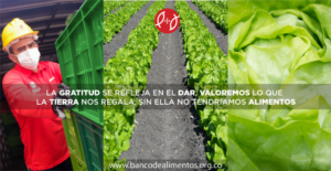 dia de la tierra